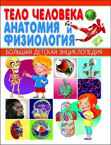 Энциклопедия Большая детская - Тело человека. Анатомия и физиология (Владис, 2116-2)